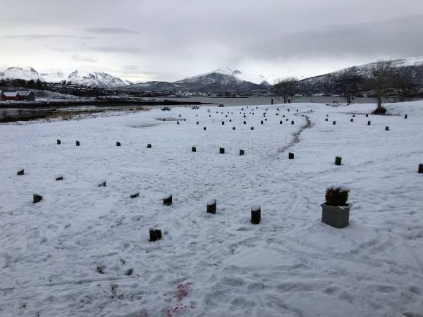 3_borgundkaupangen_bilde1